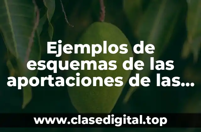 Ejemplos de esquemas de las aportaciones de las civilizaciones antiguas