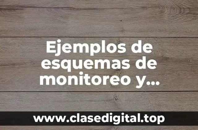 Ejemplos de esquemas de monitoreo y seguimiento para consultas médicas