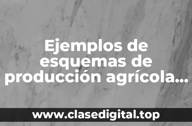 Ejemplos de esquemas de producción agrícola, ganadera y pesquera