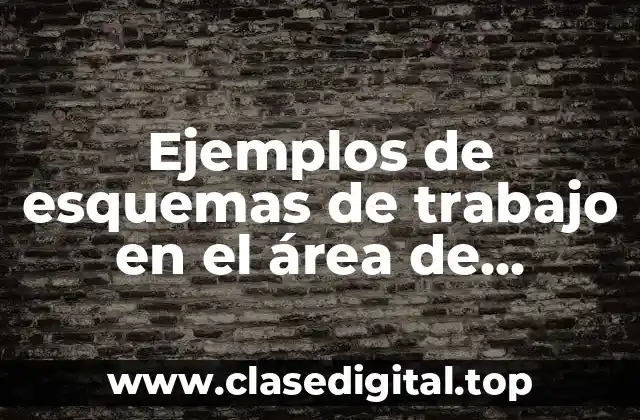 Ejemplos de esquemas de trabajo en el área de almacen y Significado