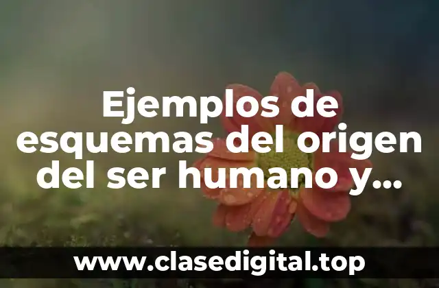 Ejemplos de esquemas del origen del ser humano y Significado