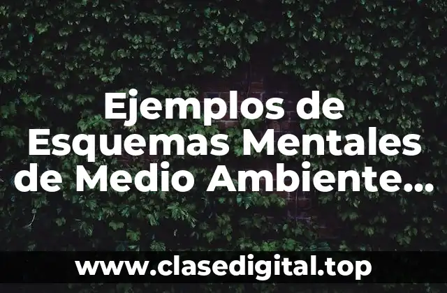 Ejemplos de Esquemas Mentales de Medio Ambiente Bonitos