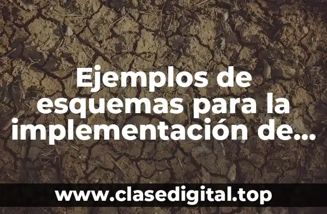 Ejemplos de esquemas para la implementación de un TPM