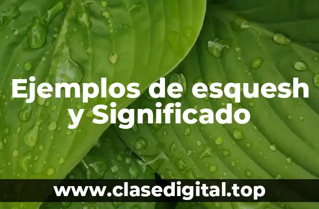 Ejemplos de esquesh y Significado