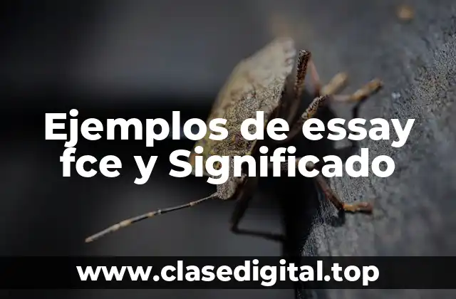 Ejemplos de essay fce y Significado