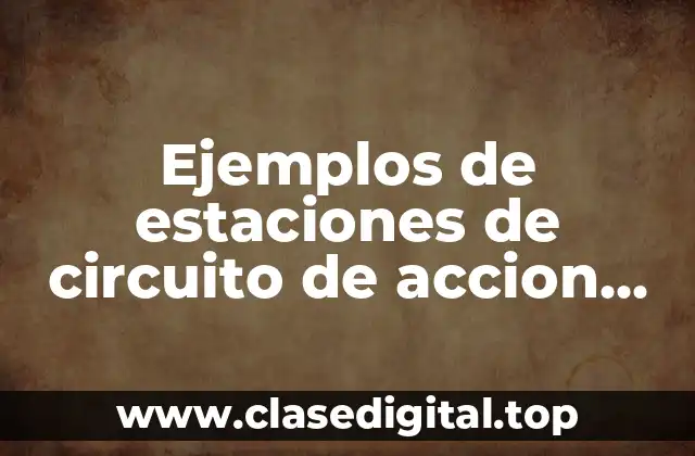 Ejemplos de estaciones de circuito de accion motriz y Significado