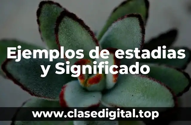 Ejemplos de estadias