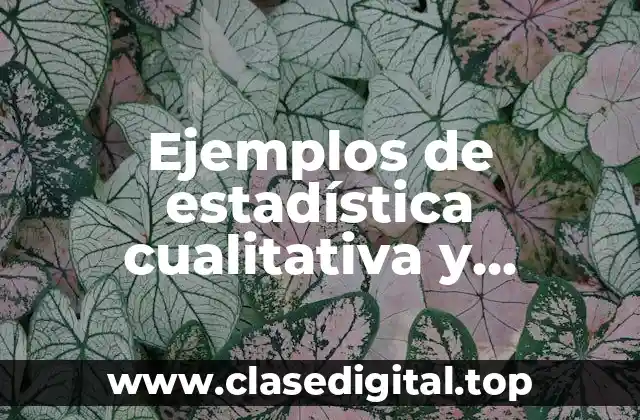 Ejemplos de estadística cualitativa y cuantitativa