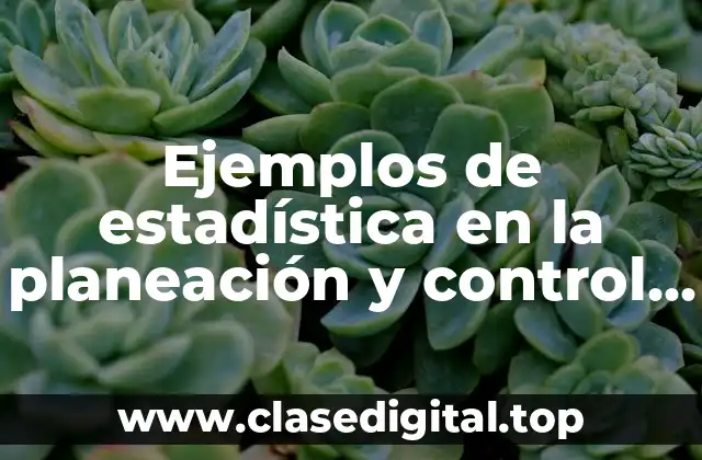 Ejemplos de estadística en la planeación y control y Significado