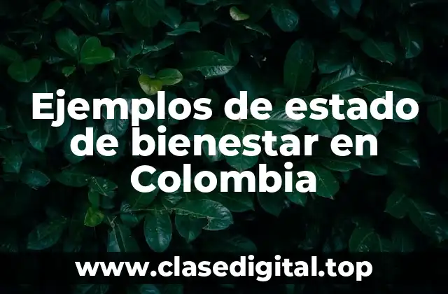Ejemplos de estado de bienestar en Colombia
