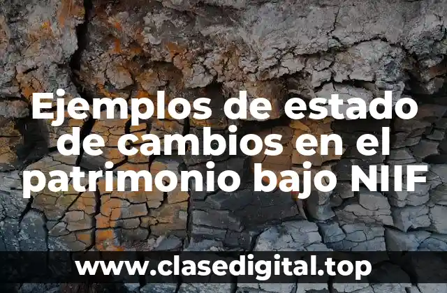 Ejemplos de estado de cambios en el patrimonio bajo NIIF