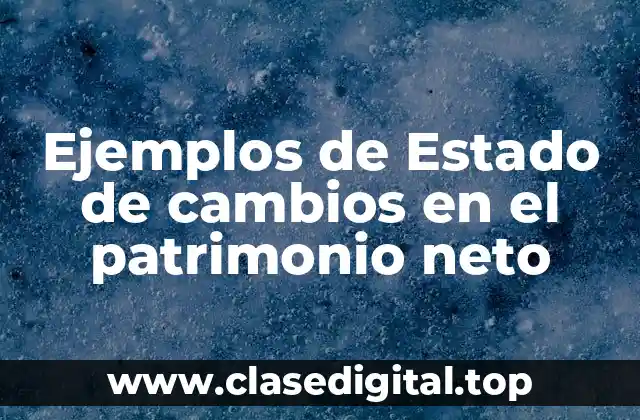 Ejemplos de Estado de cambios en el patrimonio neto