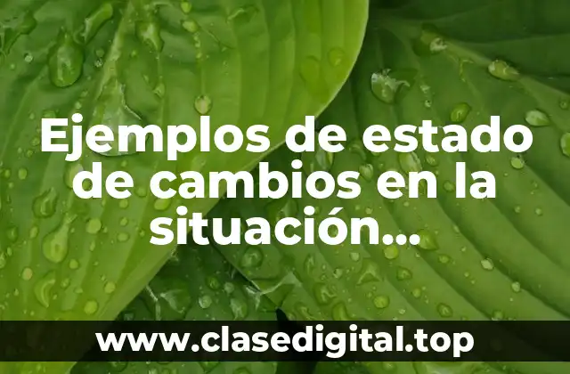 Ejemplos de estado de cambios en la situación patrimonial y Significado