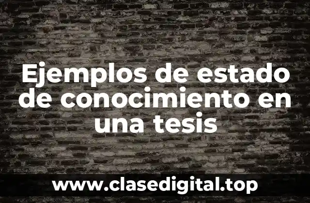 Ejemplos de estado de conocimiento en una tesis
