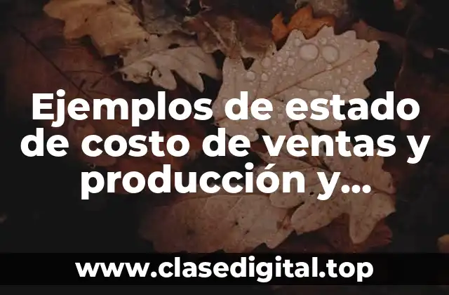 Ejemplos de estado de costo de ventas y producción