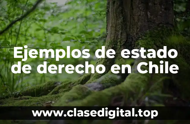Ejemplos de estado de derecho en Chile