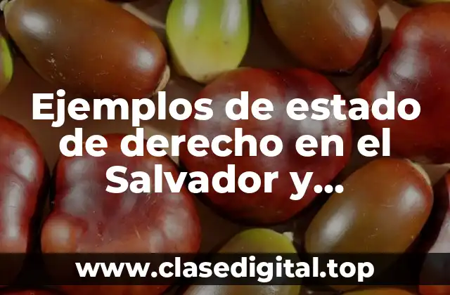 Ejemplos de estado de derecho en el Salvador