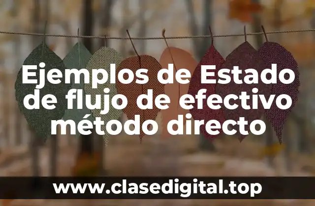 Ejemplos de Estado de flujo de efectivo método directo