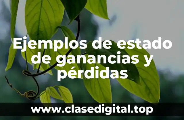 Ejemplos de estado de ganancias y pérdidas