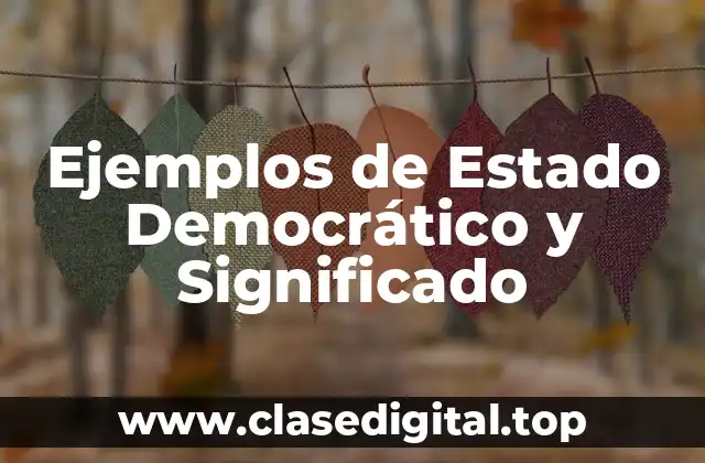 Ejemplos de Estado Democrático
