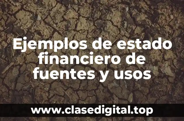 Ejemplos de estado financiero de fuentes y usos
