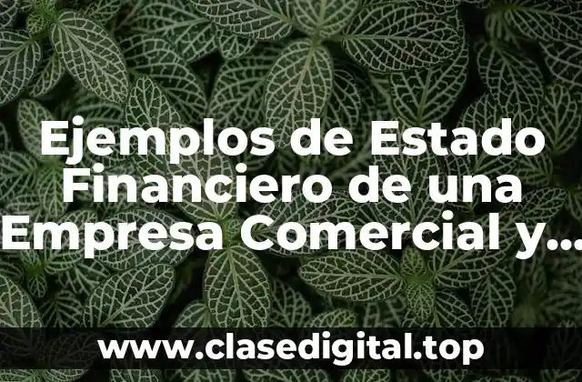 Ejemplos de Estado Financiero de una Empresa Comercial y Significado