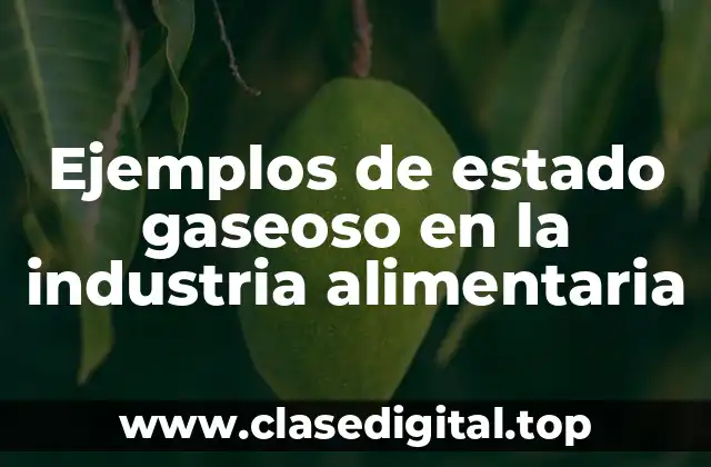 Ejemplos de estado gaseoso en la industria alimentaria