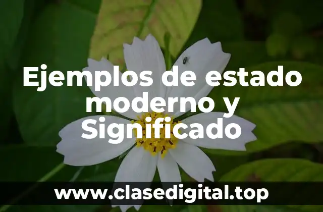 Ejemplos de estado moderno y Significado