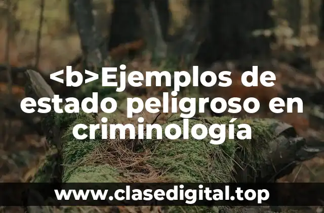 <b>Ejemplos de estado peligroso en criminología