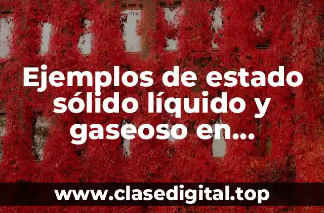 Ejemplos de estado sólido líquido y gaseoso en biotecnologio