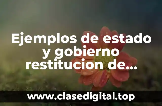 Ejemplos de estado y gobierno restitucion de politica