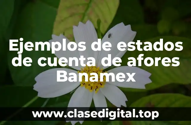 Ejemplos de estados de cuenta de afores Banamex