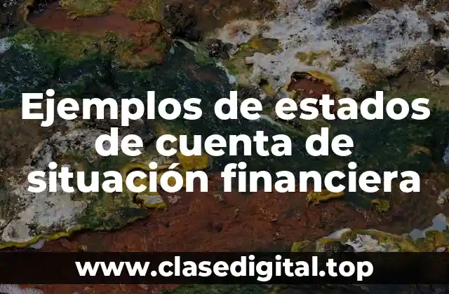 Ejemplos de estados de cuenta de situación financiera