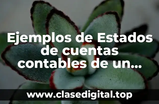 Ejemplos de Estados de cuentas contables de un banco