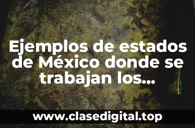 Ejemplos de estados de México donde se trabajan los hidrocarburos