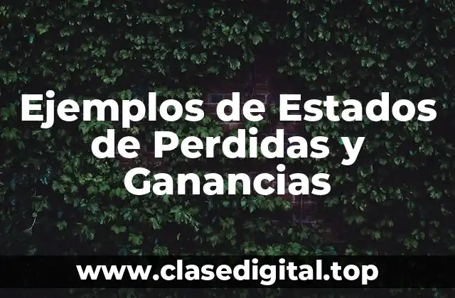 Ejemplos de Estados de Perdidas y Ganancias