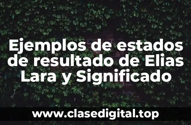 Ejemplos de estados de resultado de Elias Lara y Significado