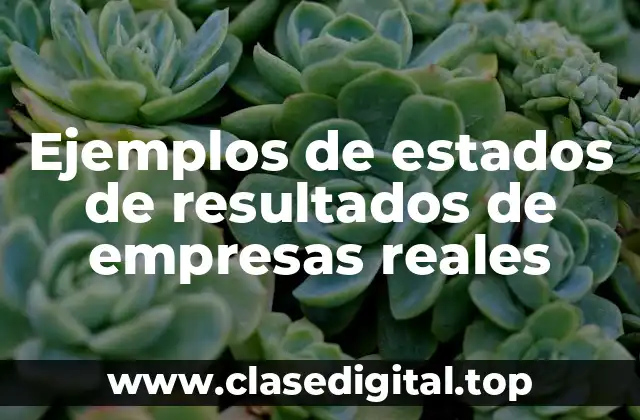 Ejemplos de estados de resultados de empresas reales