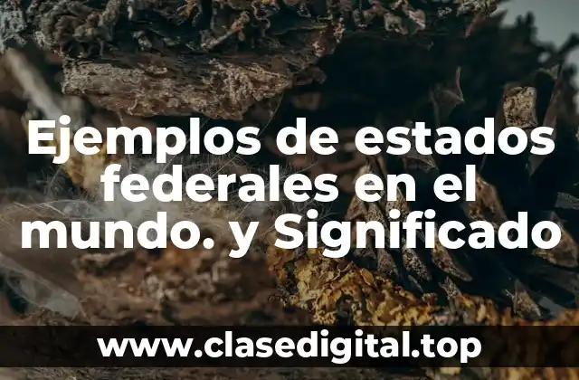 Ejemplos de estados federales en el mundo. y Significado