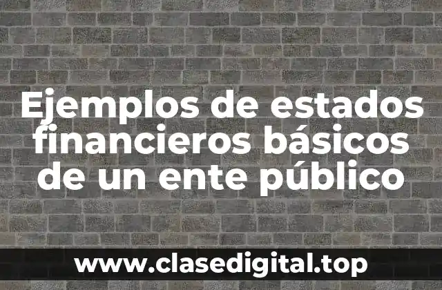 Ejemplos de estados financieros básicos de un ente público
