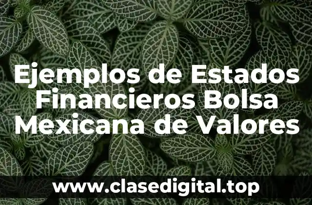 Ejemplos de Estados Financieros Bolsa Mexicana de Valores