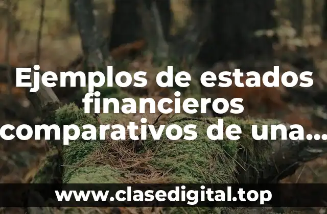 Ejemplos de estados financieros comparativos de una empresa comercial