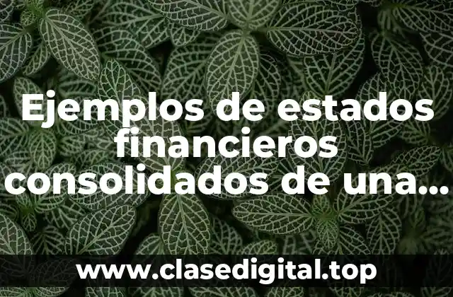 Ejemplos de estados financieros consolidados de una empresa