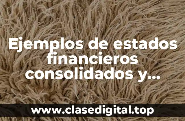 Ejemplos de estados financieros consolidados y separados