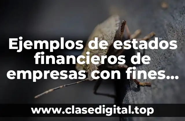 Ejemplos de estados financieros de empresas con fines de lucro