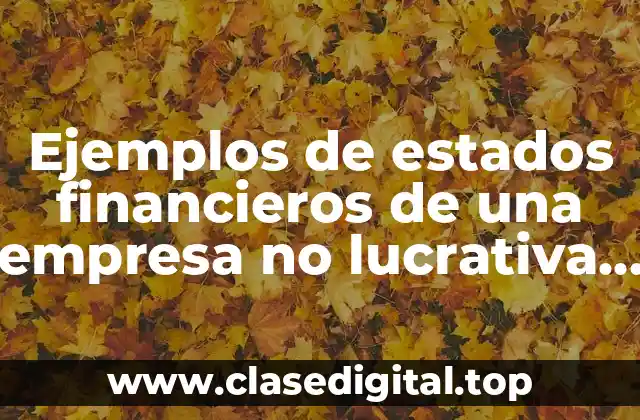 Ejemplos de estados financieros de una empresa no lucrativa y Significado