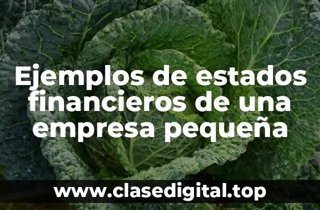 Ejemplos de estados financieros de una empresa pequeña