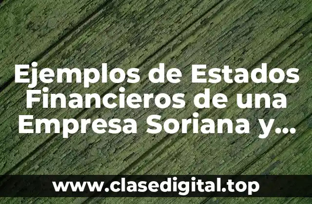 Ejemplos de Estados Financieros de una Empresa Soriana y Significado