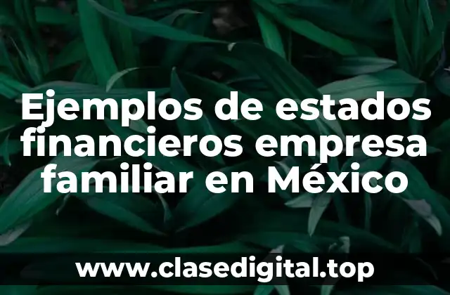 Ejemplos de estados financieros empresa familiar en México