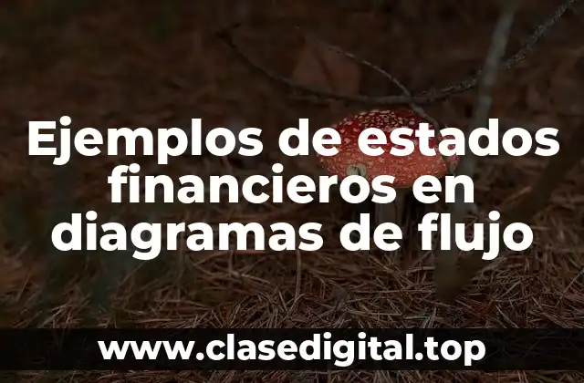 Ejemplos de estados financieros en diagramas de flujo